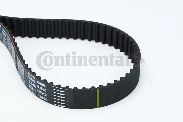 Timing Belt